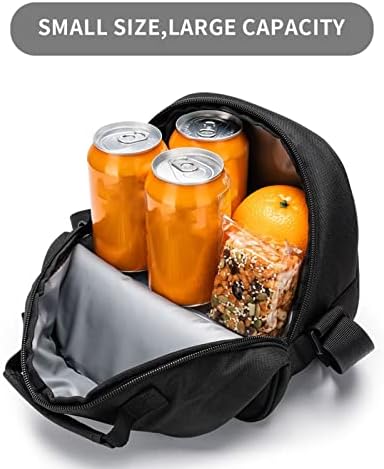 DaihAnle Yemek Çantası John Prine Yalıtımlı öğle yemeği çantası Erkekler ve Kızlar için Uygun sıcak ve Soğuk Piknik Çantası