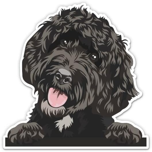 Siyah Labradoodle Sticker-3 laptop etiketi - Araba, Telefon, Su Şişesi için Su Geçirmez Vinil-Labradoodle Köpek Çıkartması
