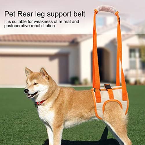 Köpek Yardımcı Koşum, Taşınabilir Köpek Sling Arka Bacaklar Kalça Desteği Koşum Yardımcı olmak için Kaldırma Köpekler Arka Köpek Yardım(Lar)