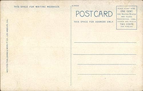 Bay ve Bayan Wheeler Oakman'ın İkametgahı Priscilla Dean Beverly Hills, Kaliforniya Orijinal Antika Kartpostal
