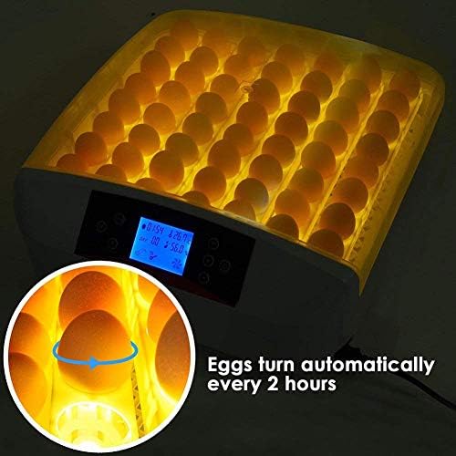 ZAPION 56 Dijital Yumurta Kuluçka Sıcaklık Nem Kontrol Kümes Hayvanları Otomatik Dönüm LED Mum