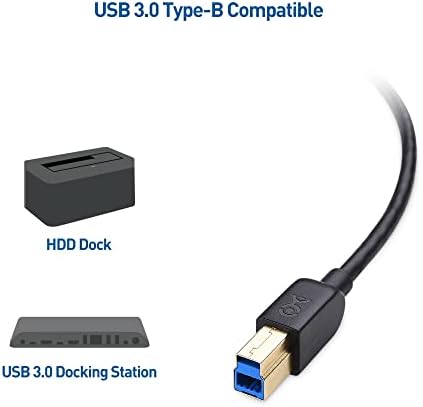Kablo Önemlidir Tip-C USB 3.1 Tip B Kablosu (USB-C/USB C USB B 3.0 / Tip-C USB 3.1-USB B) Siyah 6,6 Fit ve USB C'den USB Adaptörüne
