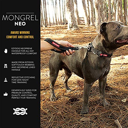 Büyük Köpekler için EzyDog Neo Mongrel Kısa Köpek Tasması-Konfor ve Kontrol için Ağır Hizmet Tipi Geçmeli Kanca ile Gece Güvenliği
