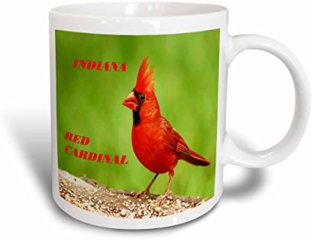 3dRose mug_50935_1Indiana Eyalet Kuşu Kırmızı Kardinal Seramik Kupa, 11 oz, Çok Renkli