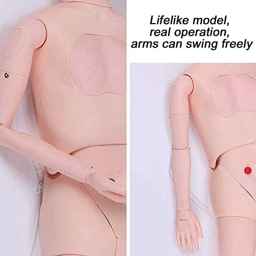 FOCCAR 5.7 ft Yaşam Boyutu Hasta Bakımı Mankeni Erkekler ve Kadınlar Değiştirilebilir Eğitim CPR Simülatörü Tıbbi Hemşirelik Eğitimi