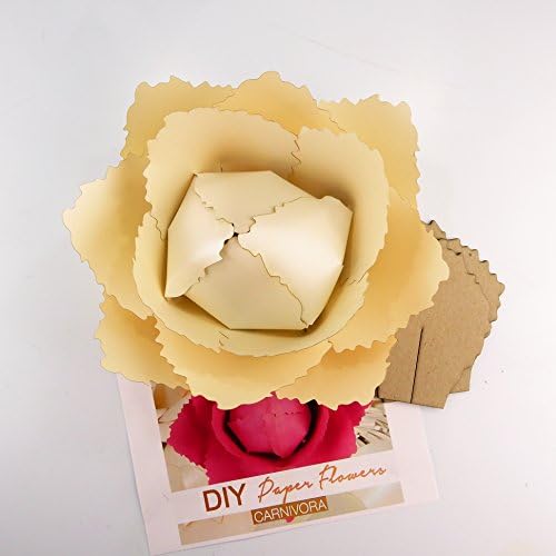 Kağıt Çiçek Şablon Seti Desen DIY kendi çiçek fon fotoğraf kabini çiçek dekorasyonu Kart stoğu Carnivora