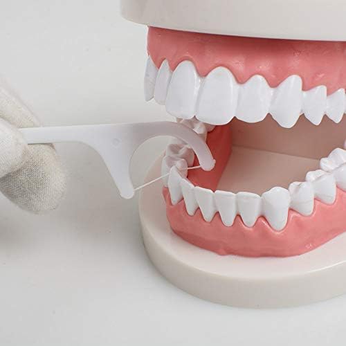 Pevor Diş Ipi Pensesinde Alır Diş Kürdan Sopa Ağız Bakımı Diş Clean-1000pcs