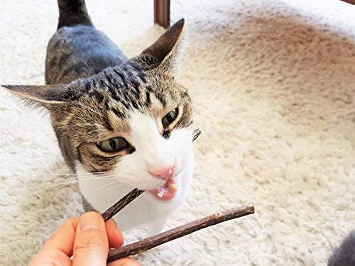 Doğal Silvervine Matatabi Çiğneme Çubukları (5 Set) kedi Nip Davranır Kediler için Kedi Hediyeler Kedi Sevgilisi Hediyeler Doğum Günü