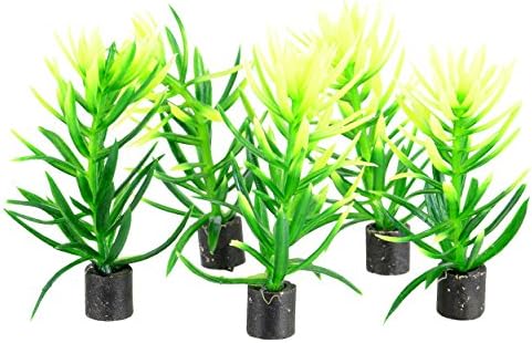 Sualtı Hazineleri Mini Bitki-Yeşil Çalı-2,5 - 5 pk