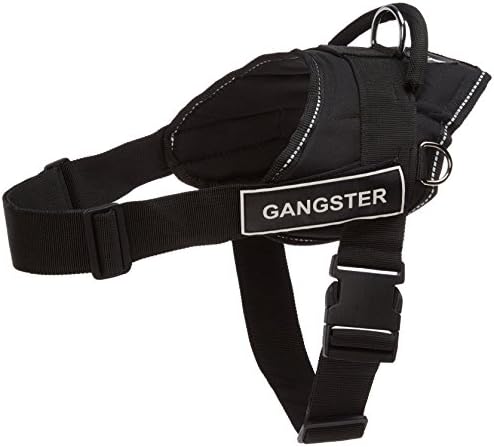 DT Eğlenceli Koşum Takımı, Gangster, Yansıtıcı Süslemeli Siyah, Orta-Çevre Boyutuna Uyar: 28 inç ila 34 inç