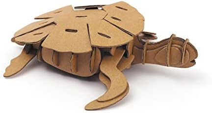 Toplanacak Graine Yaratıcı 3D Karton Modeli-Kaplumbağa