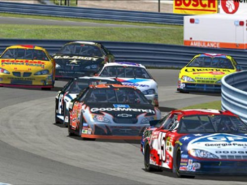 NASCAR Yarışı 2003 Sezonu-PC