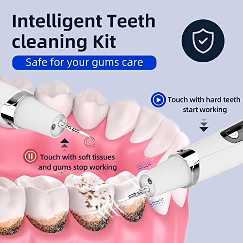 Plak Sökücü Diş Temizleme Kiti, Tartar Sökücü Diş Diş Araçları ile led ışık, 4 Değiştirilebilir Kafa ve Oral Ayna