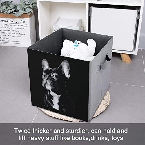 Siyah Fransız Bulldog Katlanabilir eşya kutuları Temelleri Katlanır Kumaş Saklama Küpleri Organizatör kollu kutular